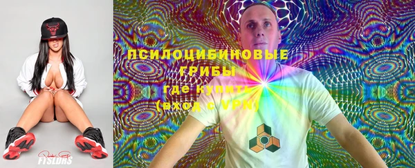 гашик Кулебаки