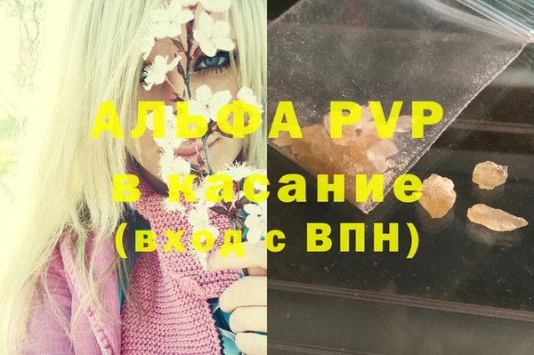 гашик Кулебаки