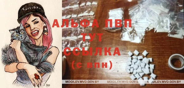 гашик Кулебаки