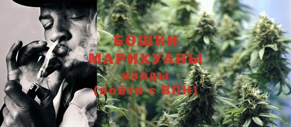 гашик Кулебаки
