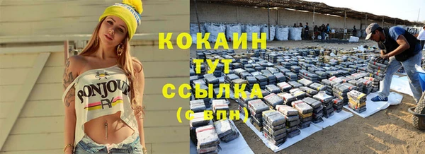 гашик Кулебаки