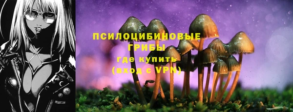 гашик Кулебаки