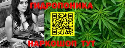 ешки Канаш