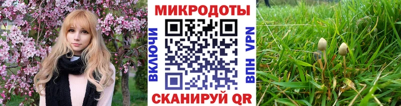 Псилоцибиновые грибы Cubensis  Кореновск 